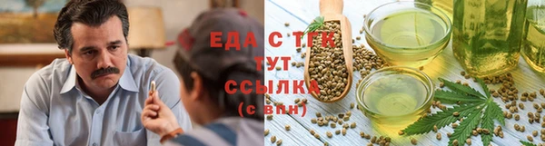 дживик Дегтярск