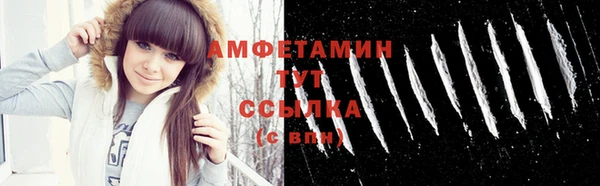 тгк Снежногорск