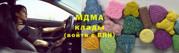 прущие грибы Балабаново