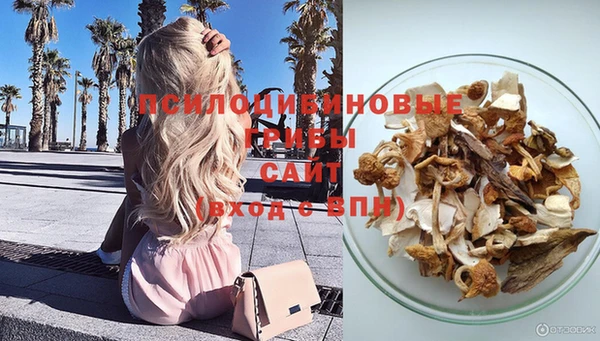 прущие грибы Балабаново