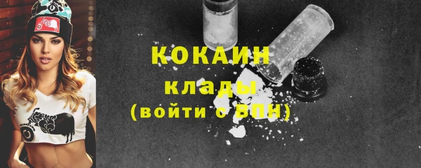 прущие грибы Балабаново