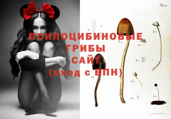 прущие грибы Балабаново