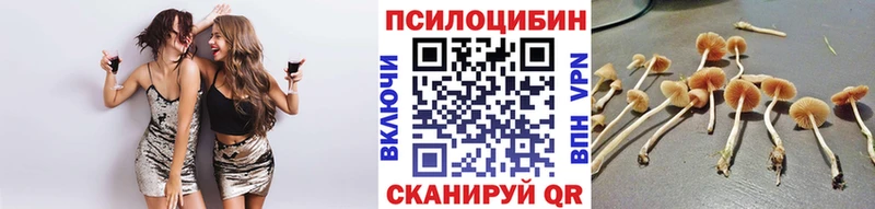 купить наркоту  Давлеканово  Галлюциногенные грибы Magic Shrooms 